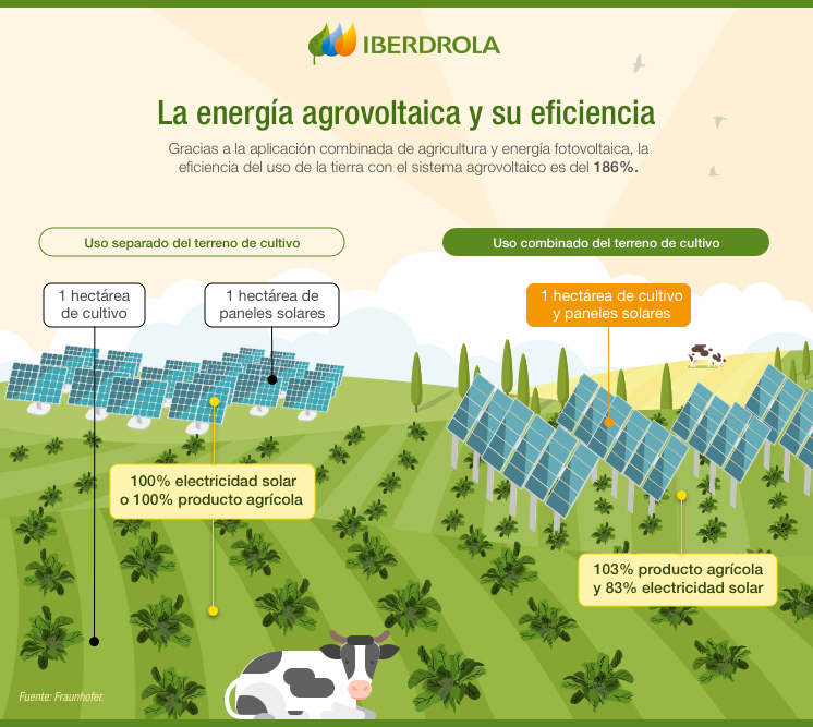 infografia de cultivos agrovoltaicos