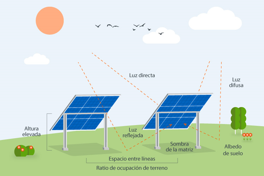 infografia paneles solares bifaciales